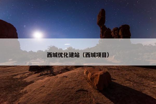 西城优化建站（西城项目）