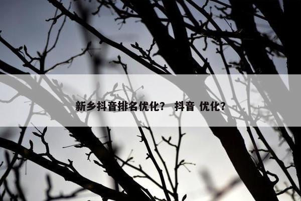 新乡抖音排名优化？ 抖音 优化？