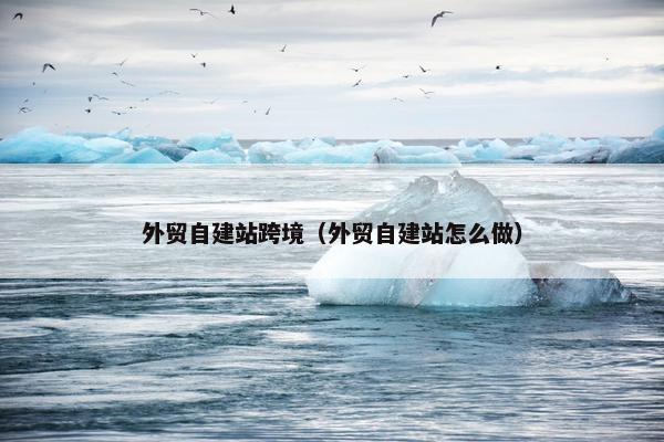 外贸自建站跨境（外贸自建站怎么做）