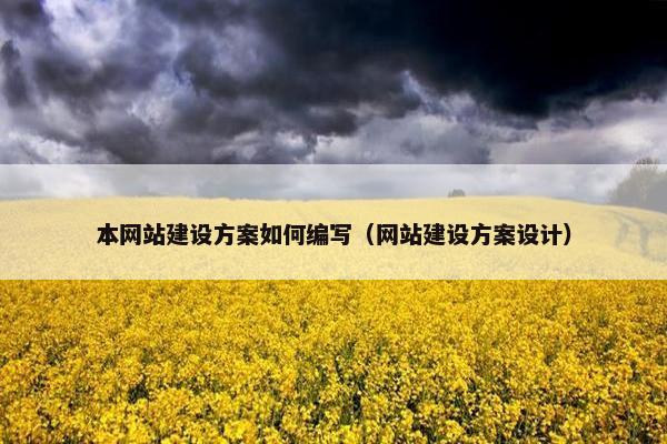 本网站建设方案如何编写（网站建设方案设计）