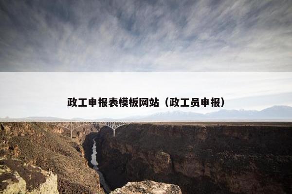 政工申报表模板网站（政工员申报）