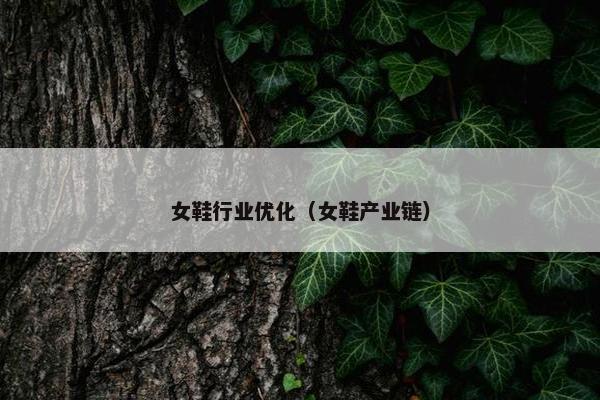 女鞋行业优化（女鞋产业链）