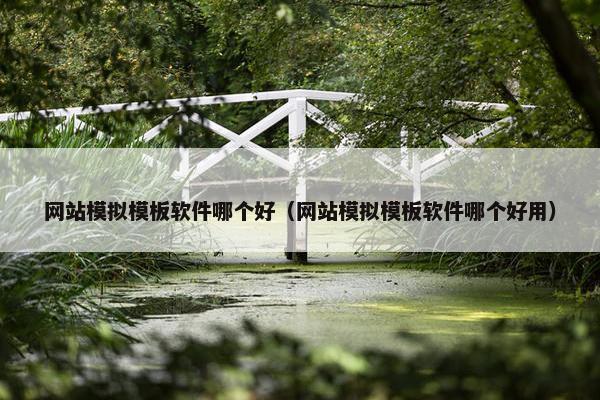网站模拟模板软件哪个好（网站模拟模板软件哪个好用）