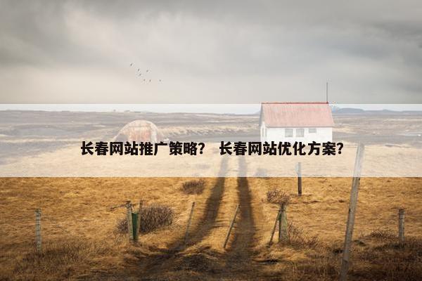 长春网站推广策略？ 长春网站优化方案？