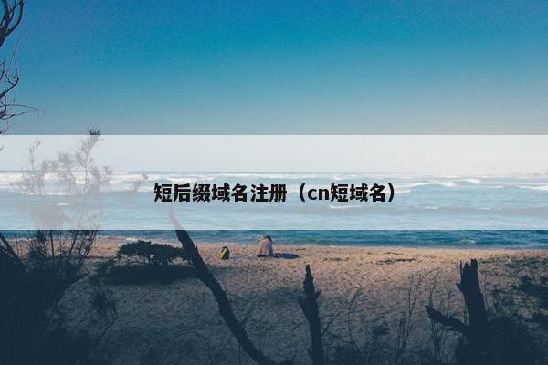 短后缀域名注册（cn短域名）