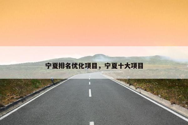 宁夏排名优化项目，宁夏十大项目