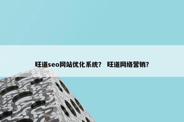 旺道seo网站优化系统？ 旺道网络营销？