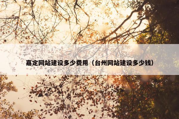 嘉定网站建设多少费用（台州网站建设多少钱）