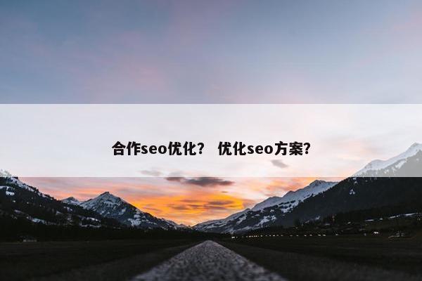 合作seo优化？ 优化seo方案？