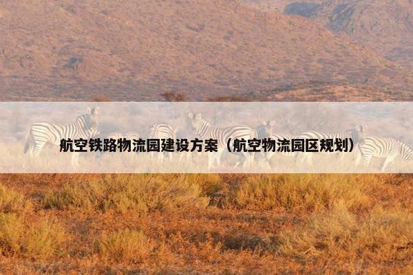 航空铁路物流园建设方案（航空物流园区规划）