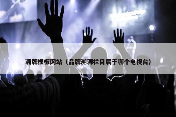 溯牌模板网站（品牌溯源栏目属于哪个电视台）