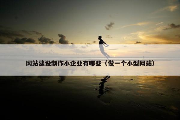 网站建设制作小企业有哪些（做一个小型网站）