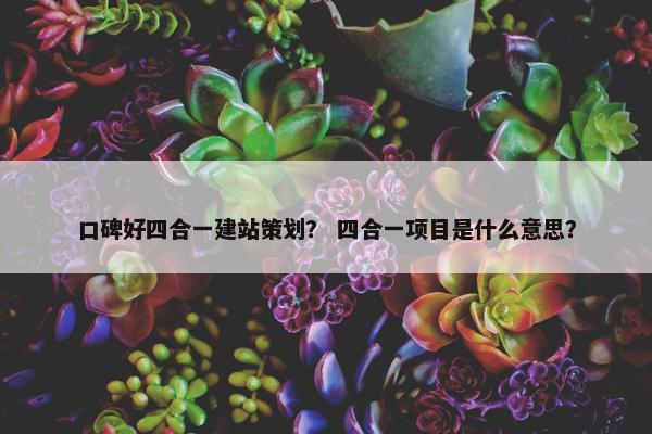 口碑好四合一建站策划？ 四合一项目是什么意思？