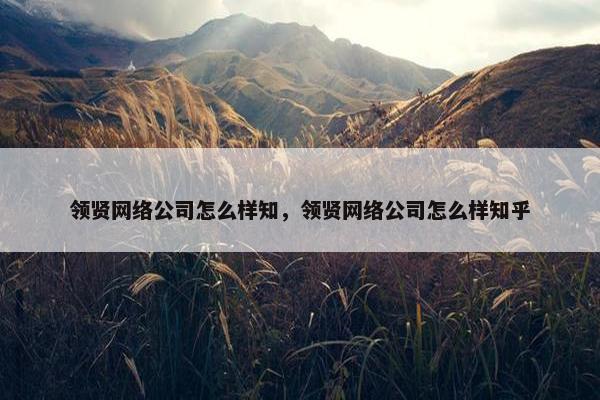 领贤网络公司怎么样知，领贤网络公司怎么样知乎