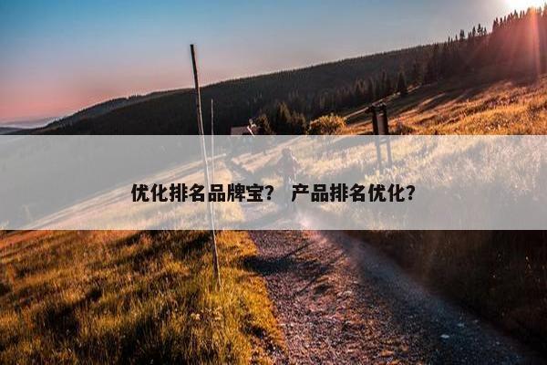 优化排名品牌宝？ 产品排名优化？