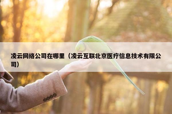 凌云网络公司在哪里（凌云互联北京医疗信息技术有限公司）