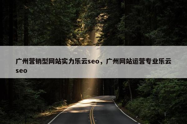 广州营销型网站实力乐云seo，广州网站运营专业乐云seo