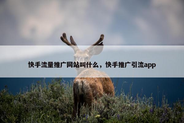 快手流量推广网站叫什么，快手推广引流app