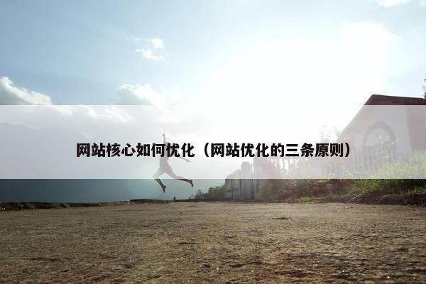 网站核心如何优化（网站优化的三条原则）
