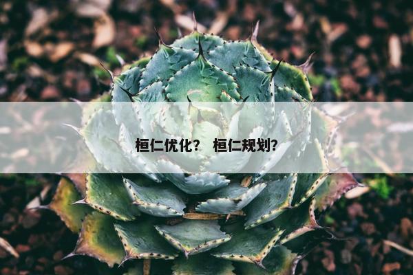 桓仁优化？ 桓仁规划？