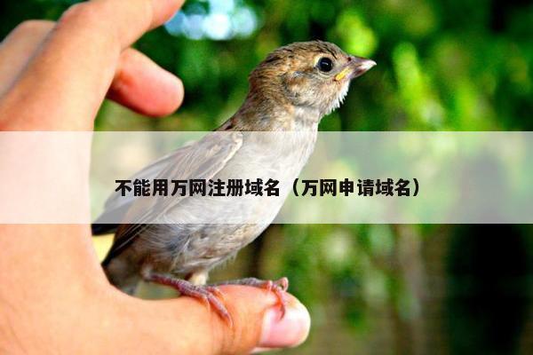 不能用万网注册域名（万网申请域名）