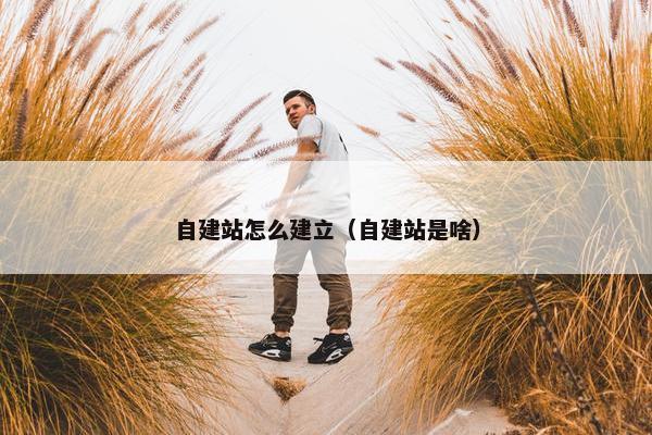 自建站怎么建立（自建站是啥）
