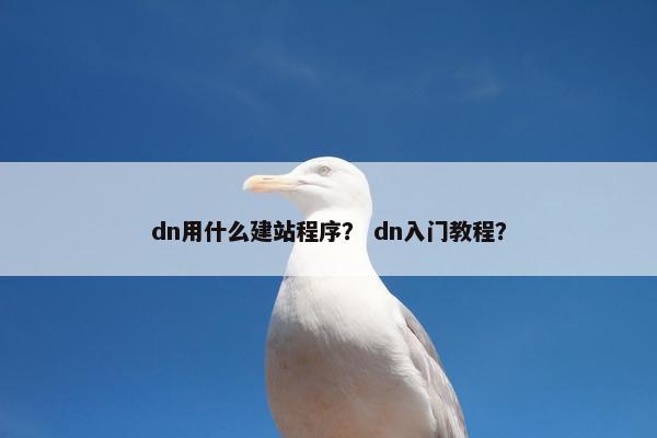 dn用什么建站程序？ dn入门教程？