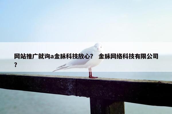 网站推广就询a金脉科技放心？ 金脉网络科技有限公司？