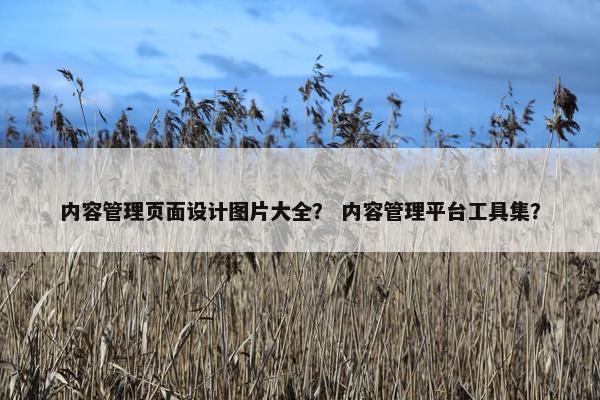 内容管理页面设计图片大全？ 内容管理平台工具集？