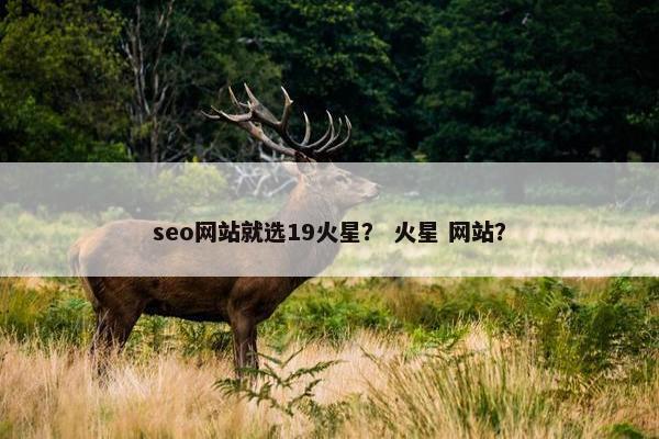 seo网站就选19火星？ 火星 网站？