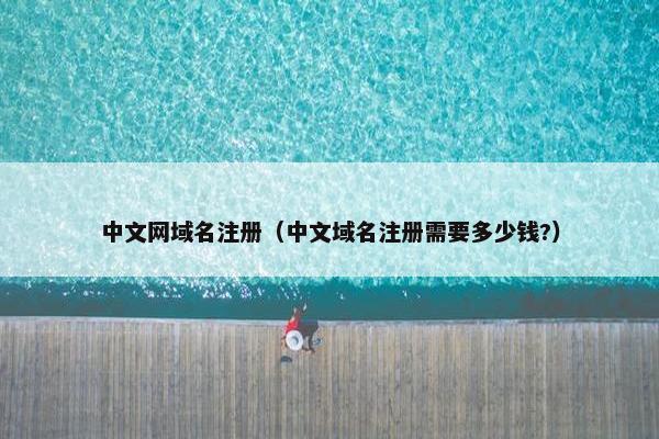 中文网域名注册（中文域名注册需要多少钱?）