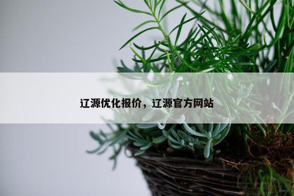 辽源优化报价，辽源官方网站