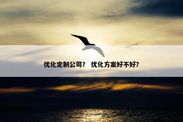 优化定制公司？ 优化方案好不好？