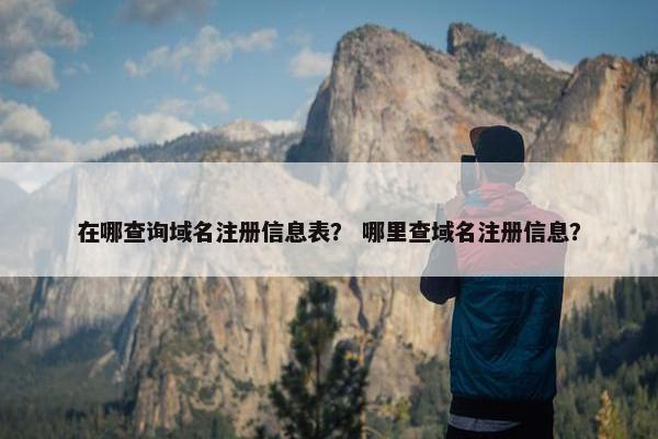 在哪查询域名注册信息表？ 哪里查域名注册信息？
