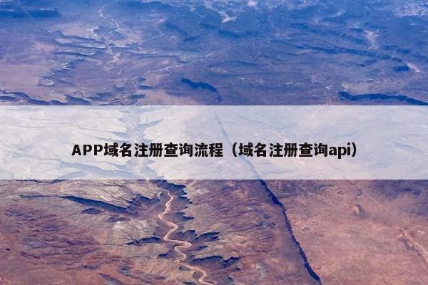 APP域名注册查询流程（域名注册查询api）