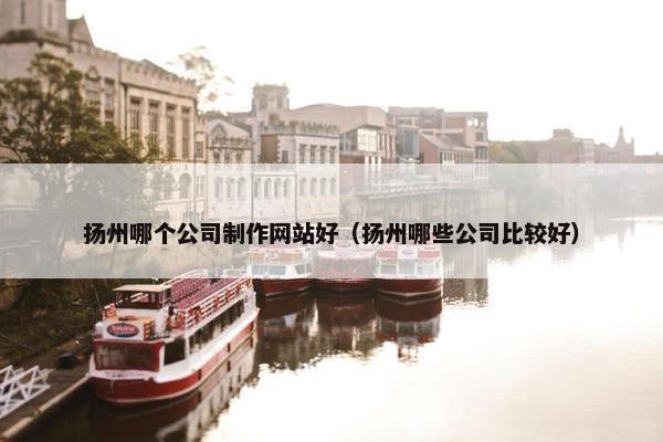 扬州哪个公司制作网站好（扬州哪些公司比较好）