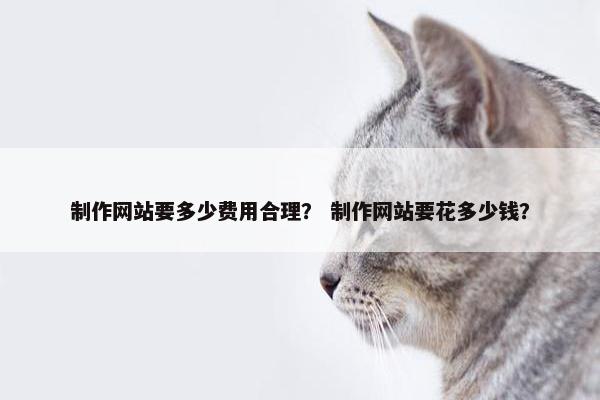 制作网站要多少费用合理？ 制作网站要花多少钱？