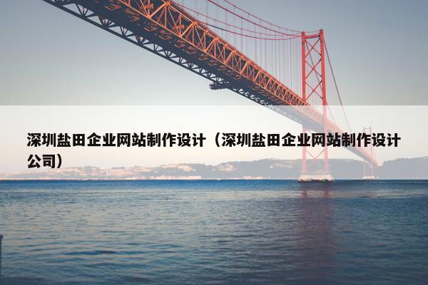 深圳盐田企业网站制作设计（深圳盐田企业网站制作设计公司）