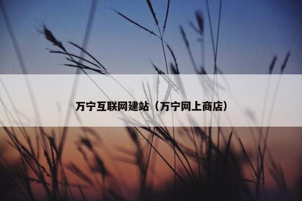 万宁互联网建站（万宁网上商店）