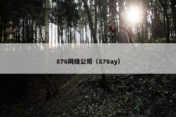 876网络公司（876ay）