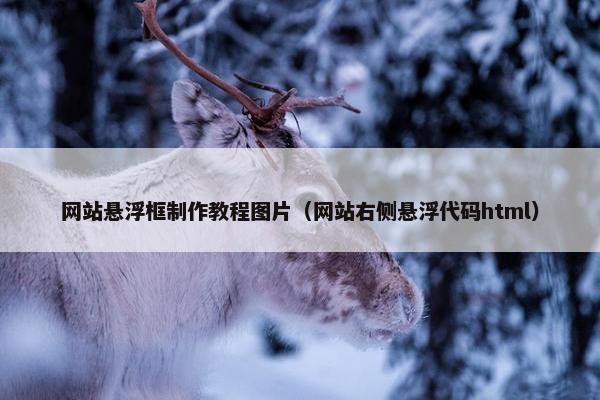 网站悬浮框制作教程图片（网站右侧悬浮代码html）