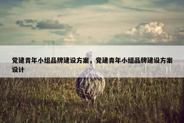 党建青年小组品牌建设方案，党建青年小组品牌建设方案设计