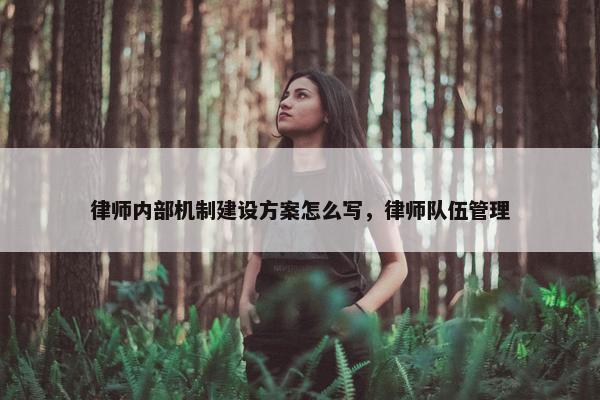 律师内部机制建设方案怎么写，律师队伍管理
