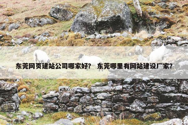 东莞网页建站公司哪家好？ 东莞哪里有网站建设厂家？