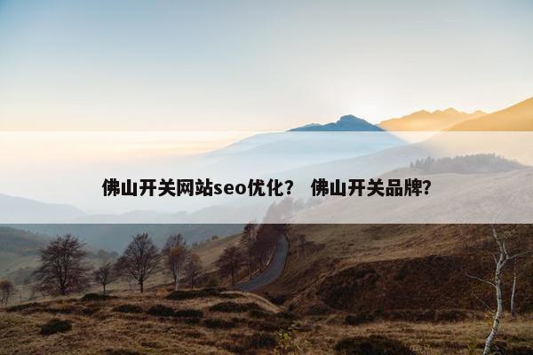 佛山开关网站seo优化？ 佛山开关品牌？