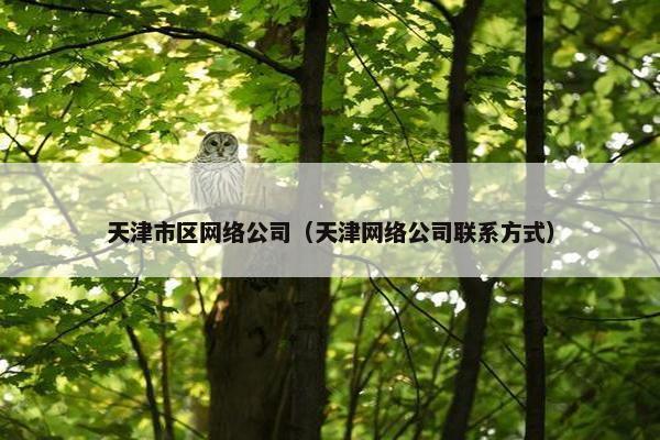 天津市区网络公司（天津网络公司联系方式）