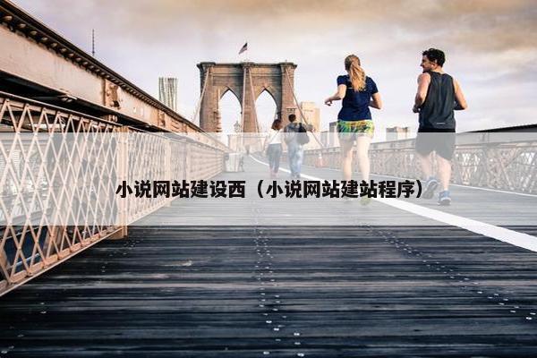 小说网站建设西（小说网站建站程序）