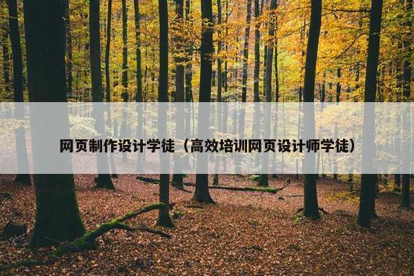 网页制作设计学徒（高效培训网页设计师学徒）
