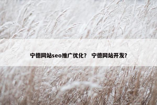 宁德网站seo推广优化？ 宁德网站开发？