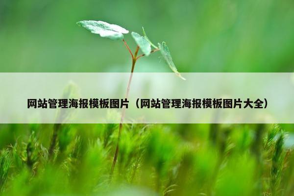 网站管理海报模板图片（网站管理海报模板图片大全）